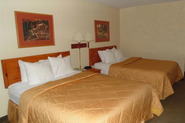 AMERICAN INN AND SUITES (Nellsville)